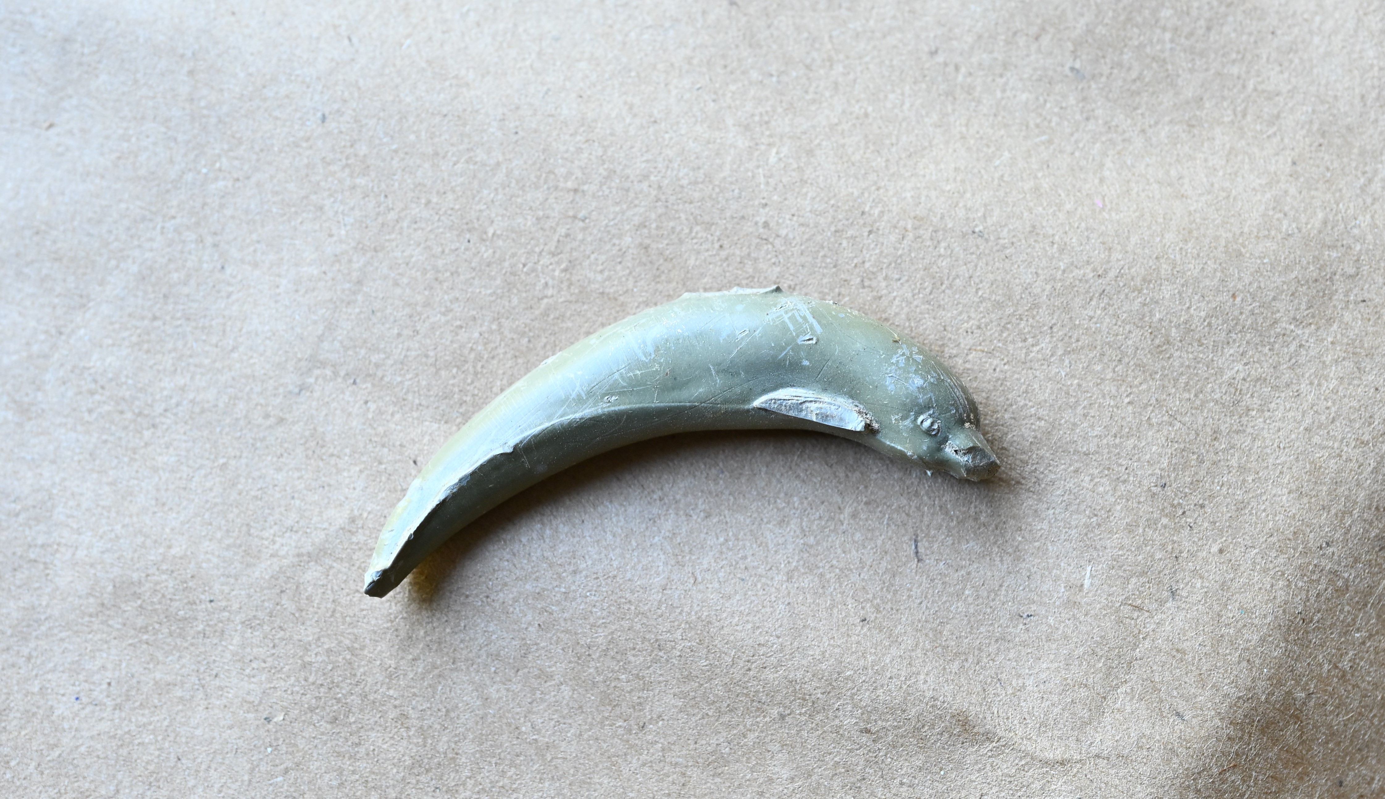 NamUs UP1012 — Small dolphin object
