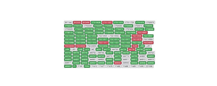 Understanding mtDNA and Y-DNA Testing in Forensic Genetic Genealogy