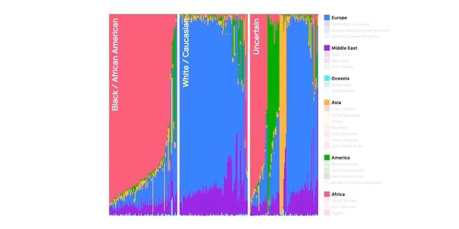 Dense SNP-based analyses complement forensic anthropology biogeographical ancestry assessments