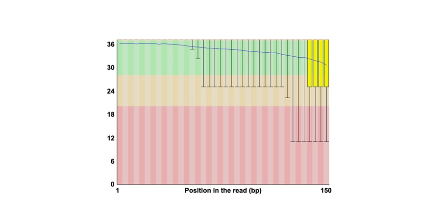 Implementing Forensic Sequencing: Are Q scores important for forensic genetic genealogy?